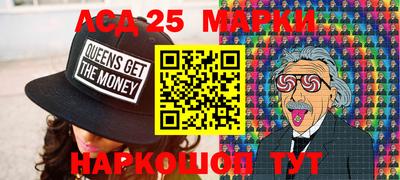 хмурый Сланцы