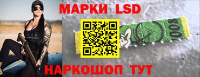 хмурый Сланцы