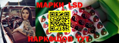 PSILOCYBIN Славгород