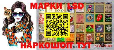 хмурый Сланцы