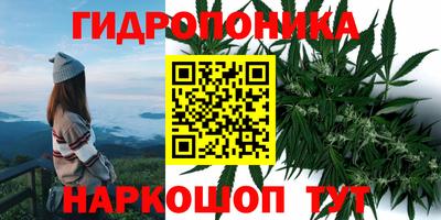 PSILOCYBIN Славгород