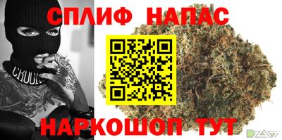 PSILOCYBIN Славгород