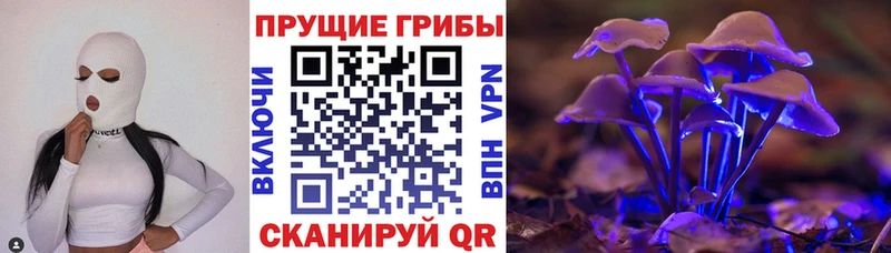 дарнет шоп  Ханты-Мансийск  Псилоцибиновые грибы ЛСД 