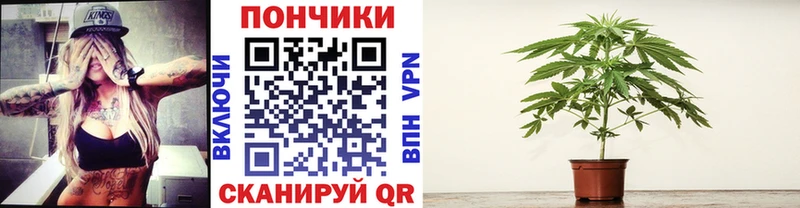 Каннабис AK-47  купить наркотики сайты  OMG зеркало  shop телеграм  Ханты-Мансийск 